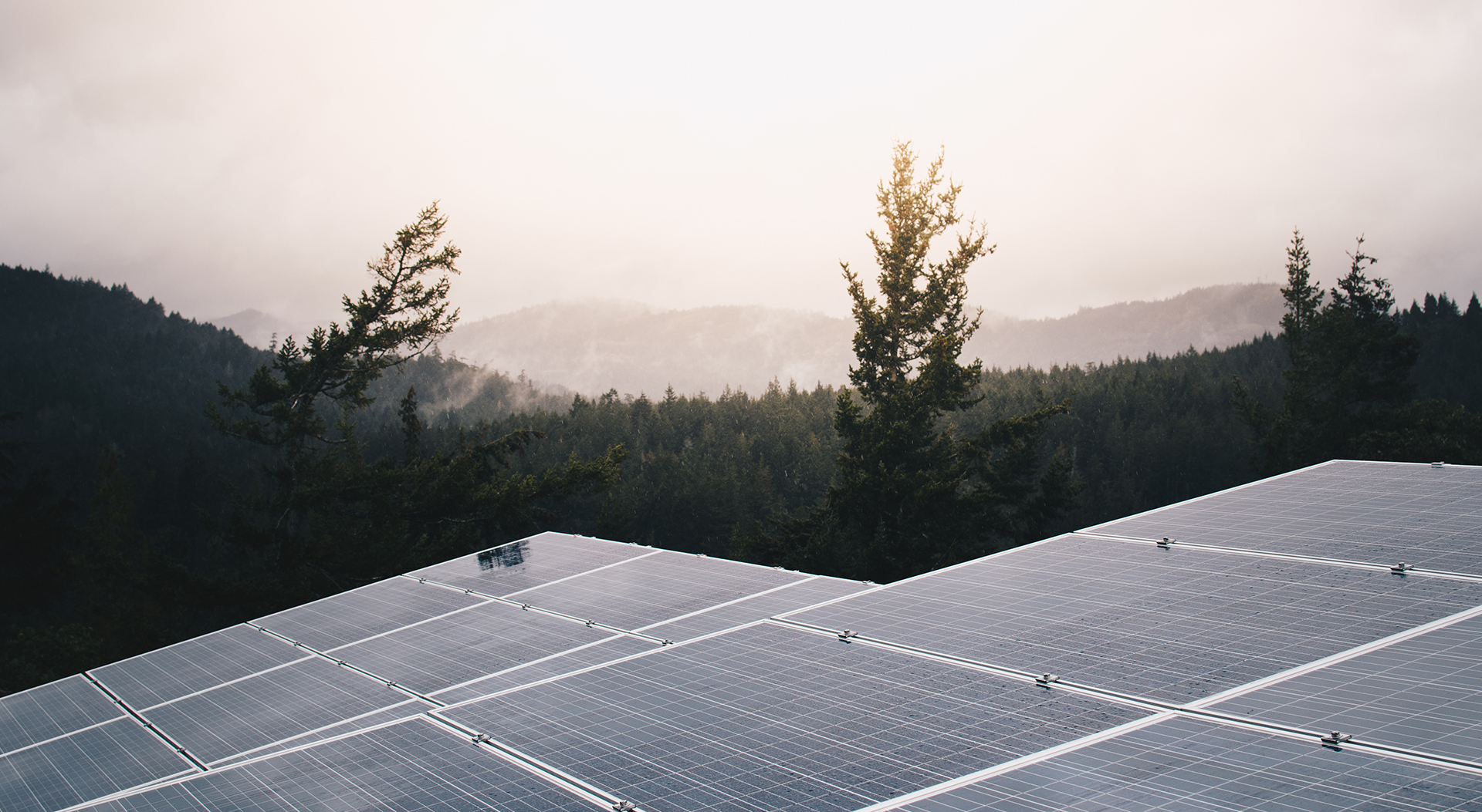 Solarmodule inmitten einer Landschaft kurz vor Sonnenaufgang oder kurz nach Sonnenuntergang. Im Hintergrund Bäume sowie Wälder in einer gebirgigen Landschaft.