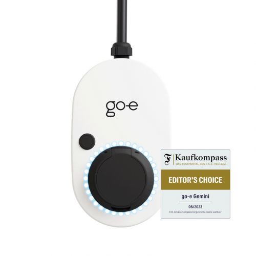 Charger Gemini 22kW Wallbox