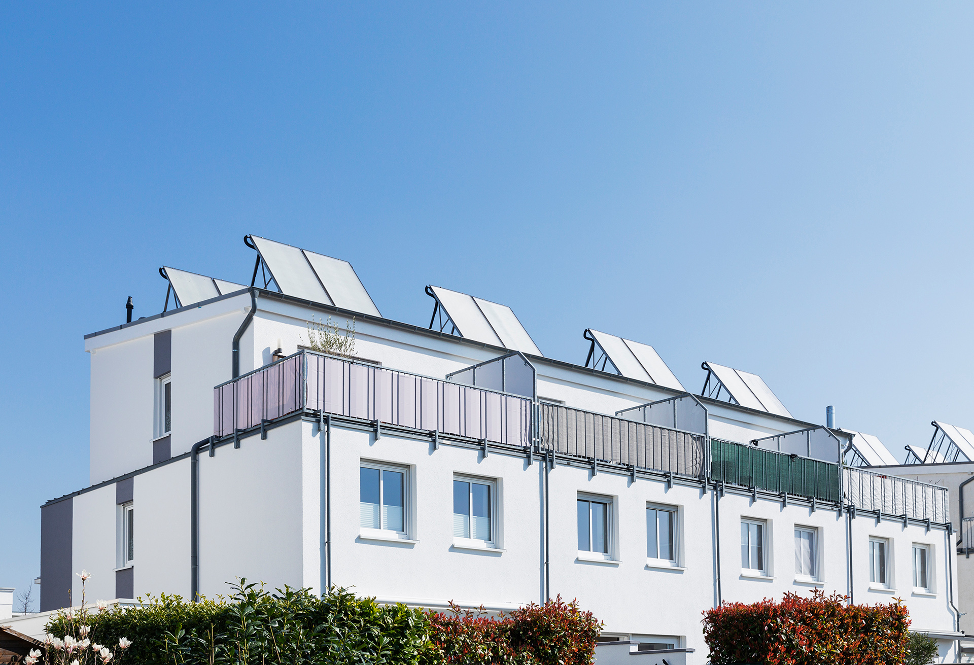 Eine moderne Wohnanlage bestehend aus mehreren Reihenhäusern mit Balkonen. Auf den Dächern sind Solarmodule installiert. Vor der Wohnanlage stehen grün-rote Büsche.
